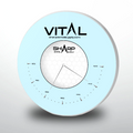 Vital Zirconia